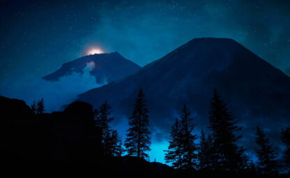 Mystery Woods at Night 01 - Colorful Stock Photos
