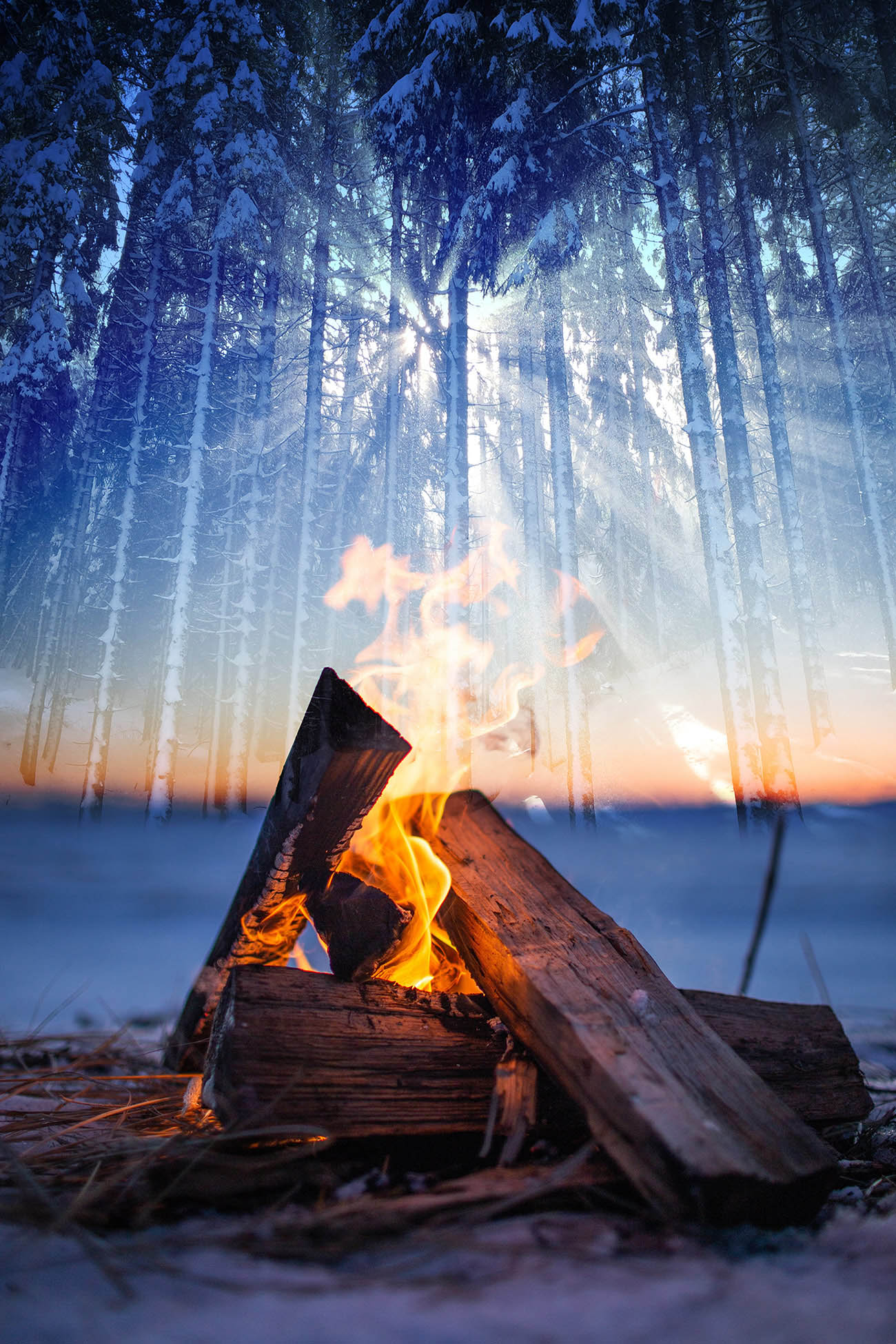Wintery Wood Fire 01 - Colorful Stock Photos