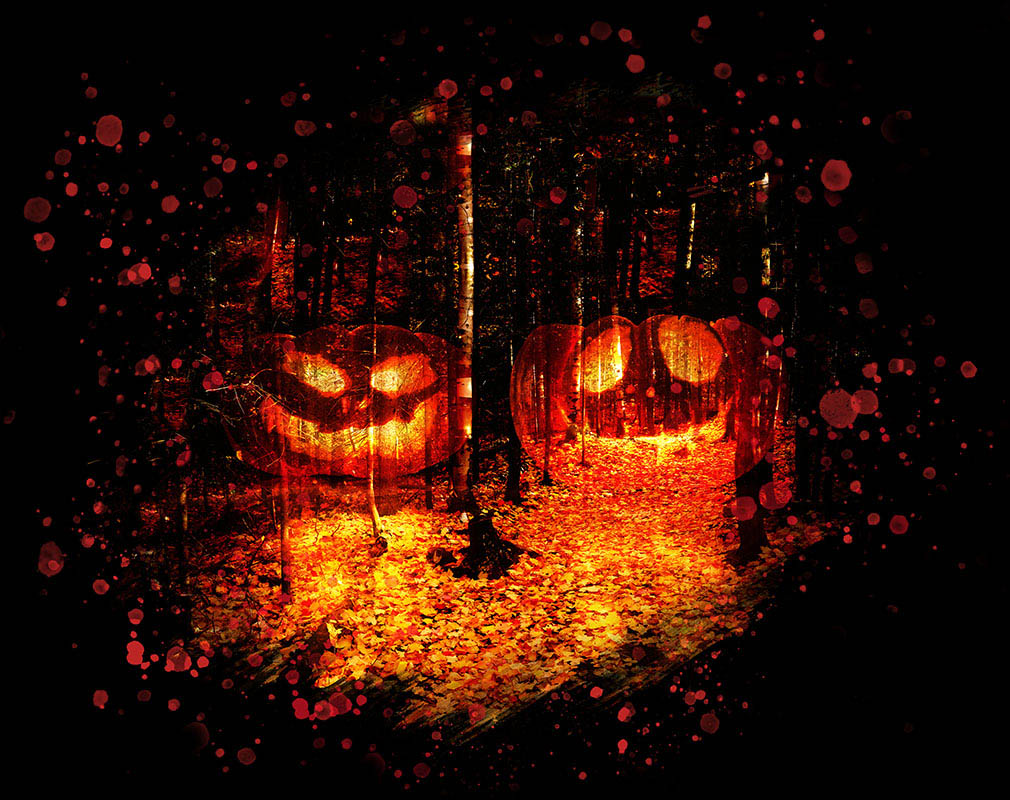 Halloween Scary Woods on Black